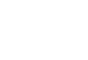 Logo shapeton blanc